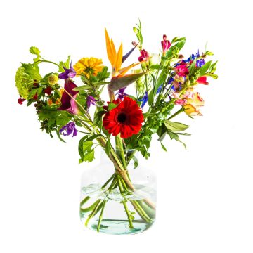 Chlorisbloemen_@LLDfotografie_www.lld-fotografie.nl_1