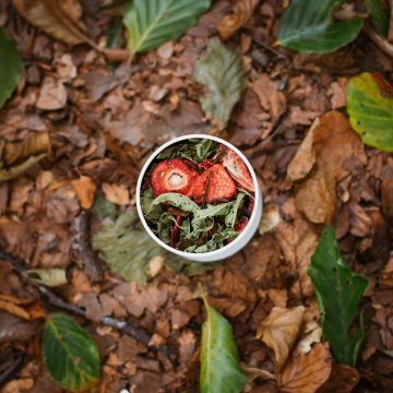 Essentialstea_@LLDfotografie_www.lld-fotografie.nl_21