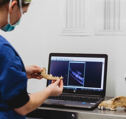 Groepspraktijkdierenartsen_@LLDfotografie_www.lld-fotografie.nl_4