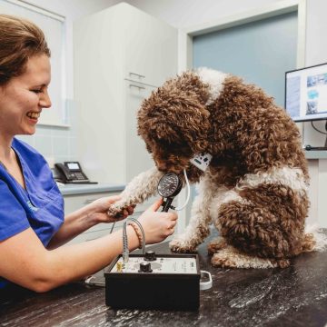 Groepspraktijkdierenartsen_@LLDfotografie_www.lld-fotografie.nl_6