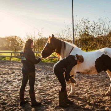 Hetparadijs_@LLDfotografie_www.lld-fotografie.nl_4