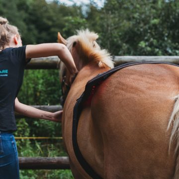 RoyalHorseCare_@lldfotografie_16