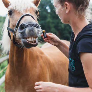 RoyalHorseCare_@lldfotografie_18