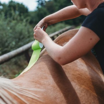 RoyalHorseCare_@lldfotografie_21