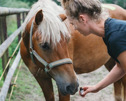RoyalHorseCare_@lldfotografie_22