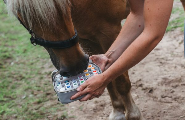 RoyalHorseCare_@lldfotografie_4