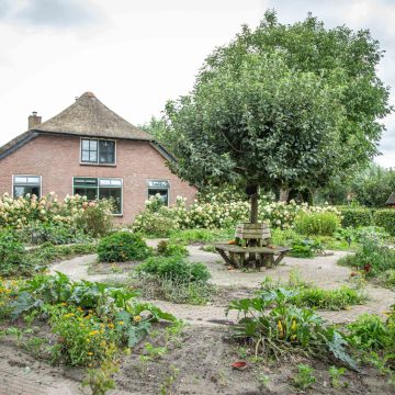 Zorgboerderijeckstra@LLDfotografie_www.lld-fotografie.nl_3