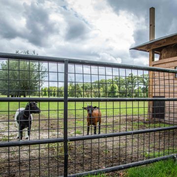 Zorgboerderijeckstra@LLDfotografie_www.lld-fotografie.nl_7
